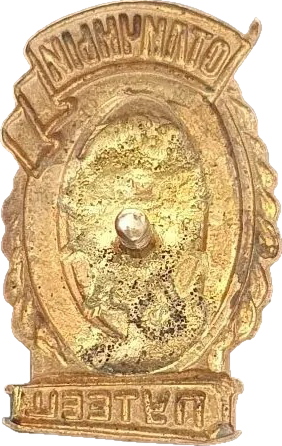    /Arms/Medals/otlichnyi_puteets_s1_zn_reverse.png