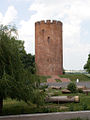   /RF_Belorussia/Brest_Reg/Files/kamenets.jpg