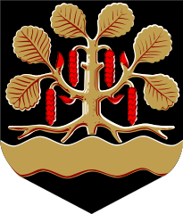    /RF_Finlyandiya/Severnoe-Savo/Files/leppyavirta_fin1.png