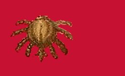    /RF_Latviya/Files/rf_latviya_reg_f11.gif