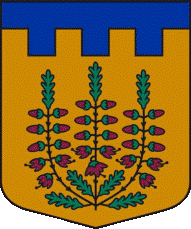    /RF_Latviya/Gulbenes_novads/Files/lizuma_pagasts_lat1.gif