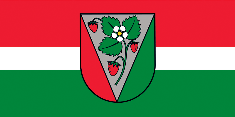    /RF_Latviya/Salas_novads/Files/salas_novads_f1.gif