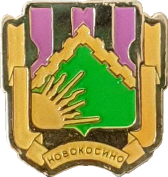    /RF_Rossia/Moskva_Reg/Pins/novokosino_rf4_zn.png