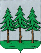    /RF_Ukraina/Zakarpat_Reg/Files/bogdan_st1.gif