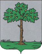    /RF_Ukraina/Zakarpat_Reg/Files/delovoe_st1.gif